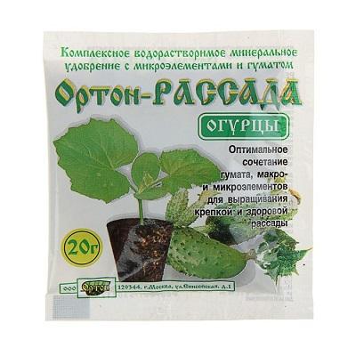 Ортон-Рассада огурцы