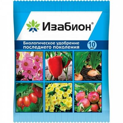 Изабион