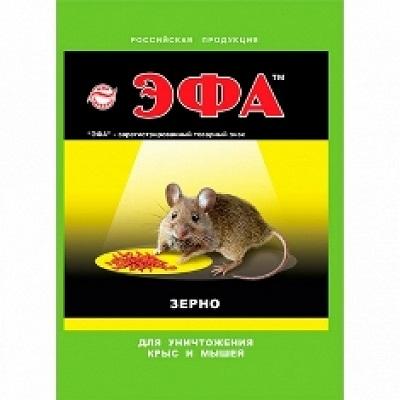 Эфа зерно