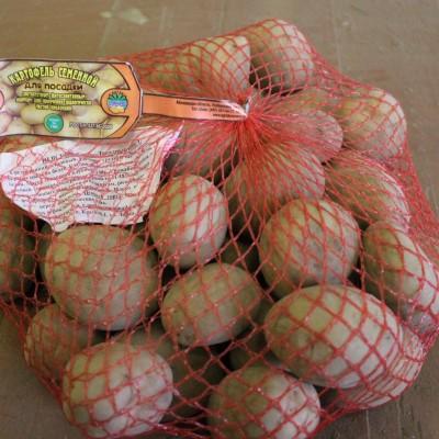 Семенной картофель Жуковский ранний